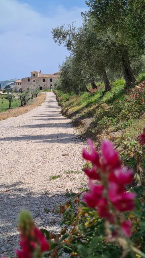 Castello Di Petecciano B&B Mosciano SantʼAngelo Eksteriør billede